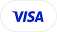 Visa card payment