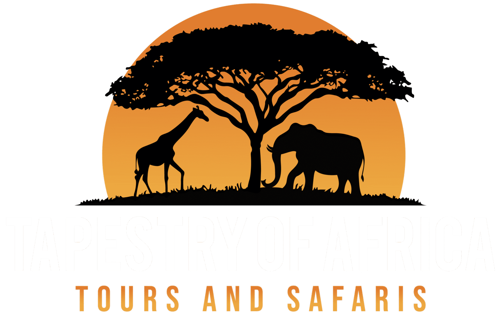 Tapestry of africa footer logo