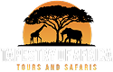 Tapestry of Africa logo